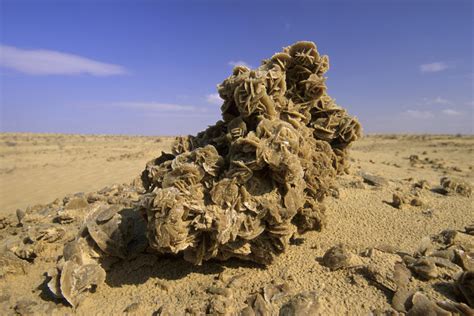 rose des sables desert